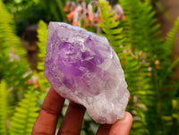 Natural Jacaranda Amethyst Quartz Crystals x 12 From Mumbwa, Zambia