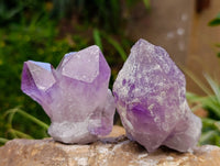 Natural Jacaranda Amethyst Quartz Crystals x 12 From Mumbwa, Zambia