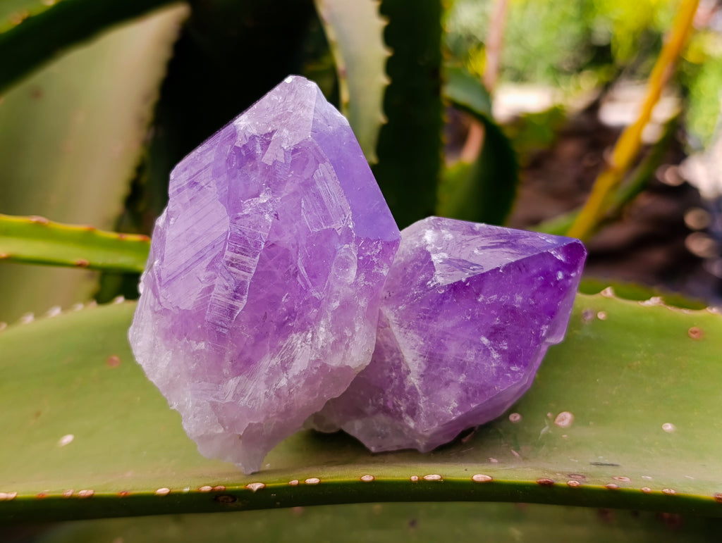Natural Jacaranda Amethyst Quartz Crystals x 12 From Mumbwa, Zambia - Toprock Gemstones and Minerals 
