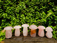 Polished Rose Quartz Mushrooms x 6 From Madagascar