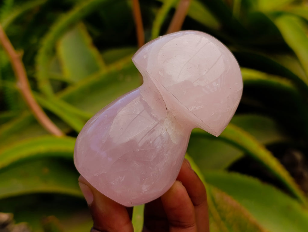 Polished Rose Quartz Mushrooms x 6 From Madagascar - Toprock Gemstones and Minerals 