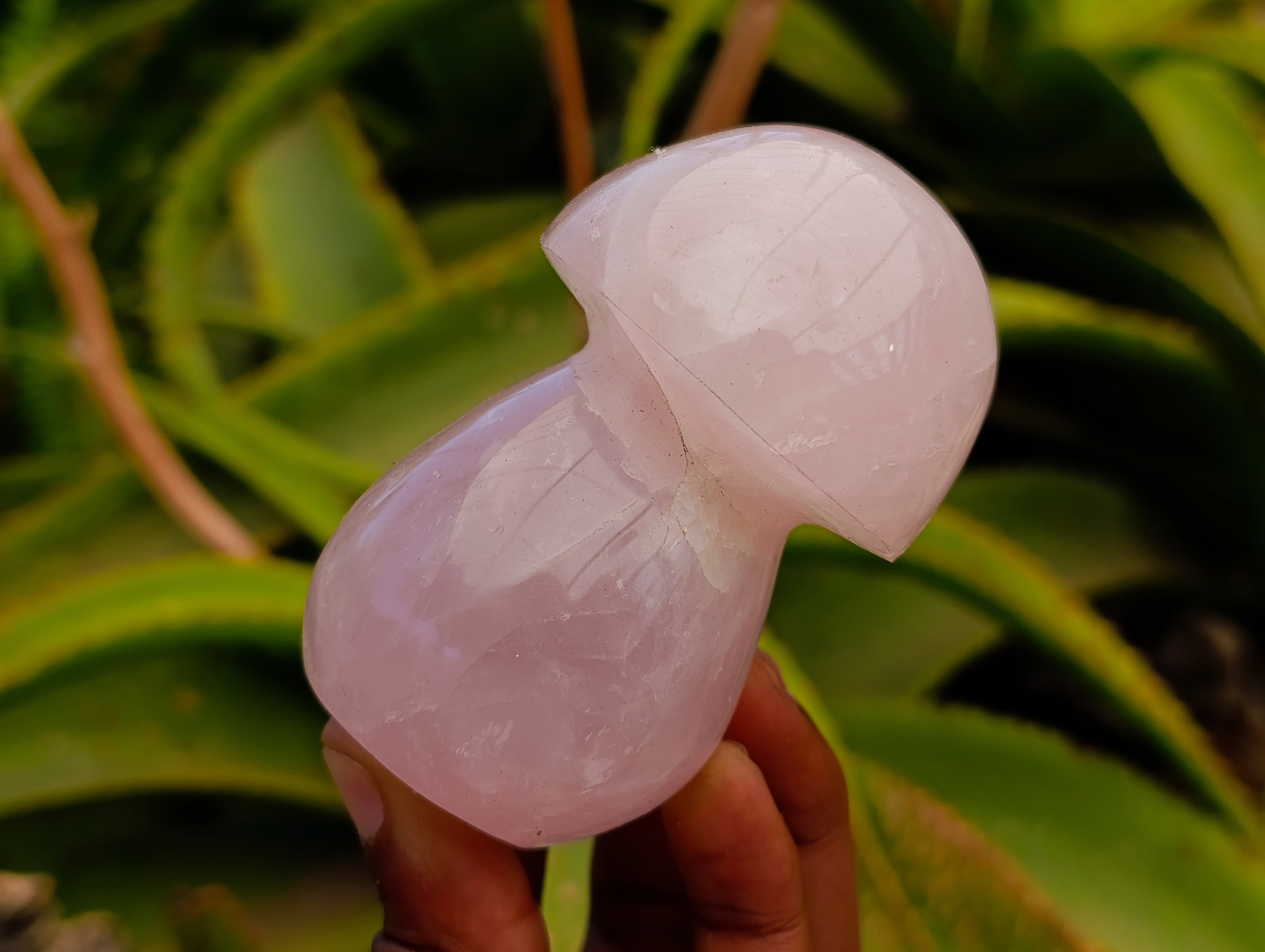 Polished Rose Quartz Mushrooms x 6 From Madagascar - Toprock Gemstones and Minerals 