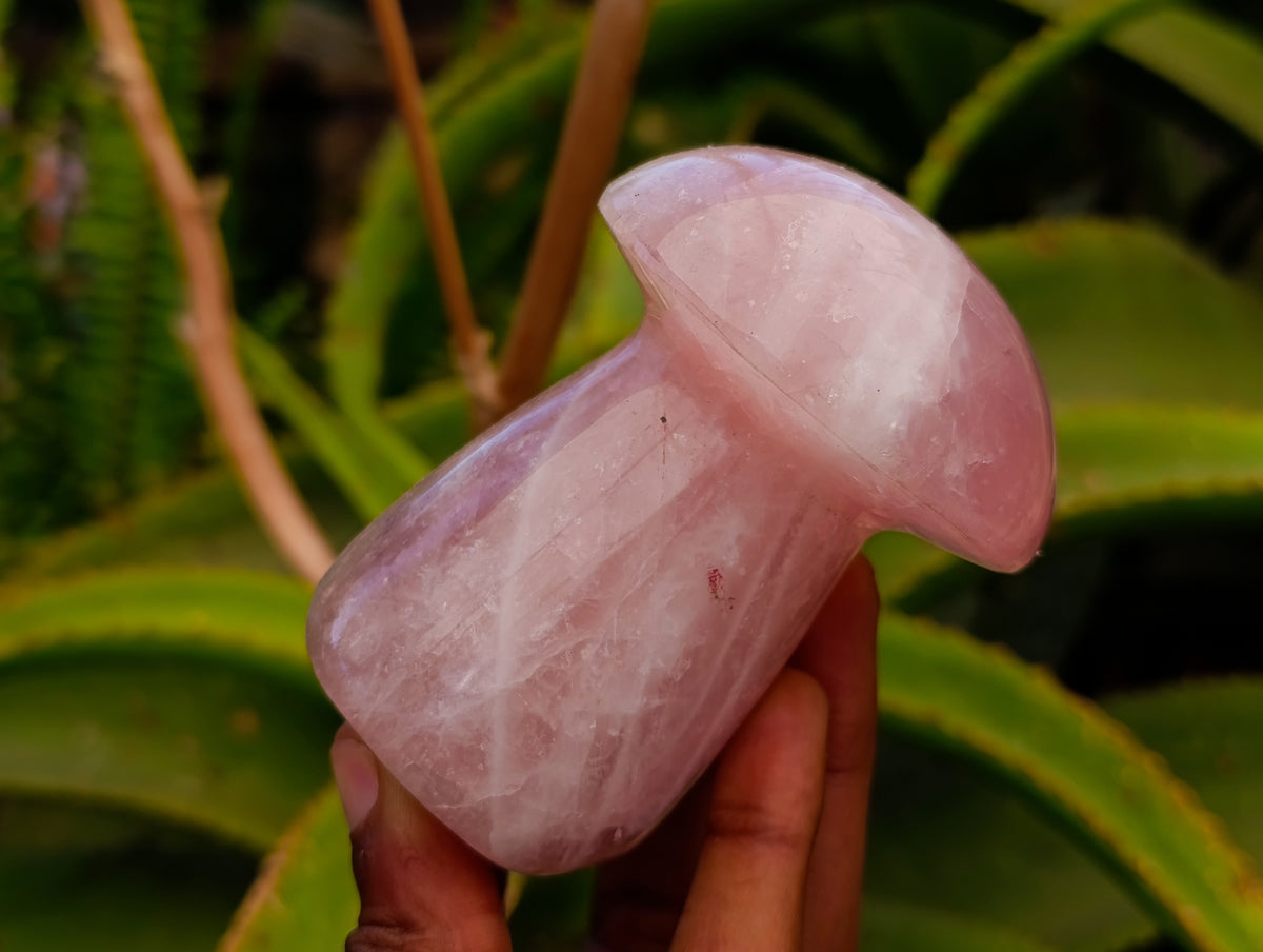 Polished Rose Quartz Mushrooms x 6 From Madagascar - Toprock Gemstones and Minerals 