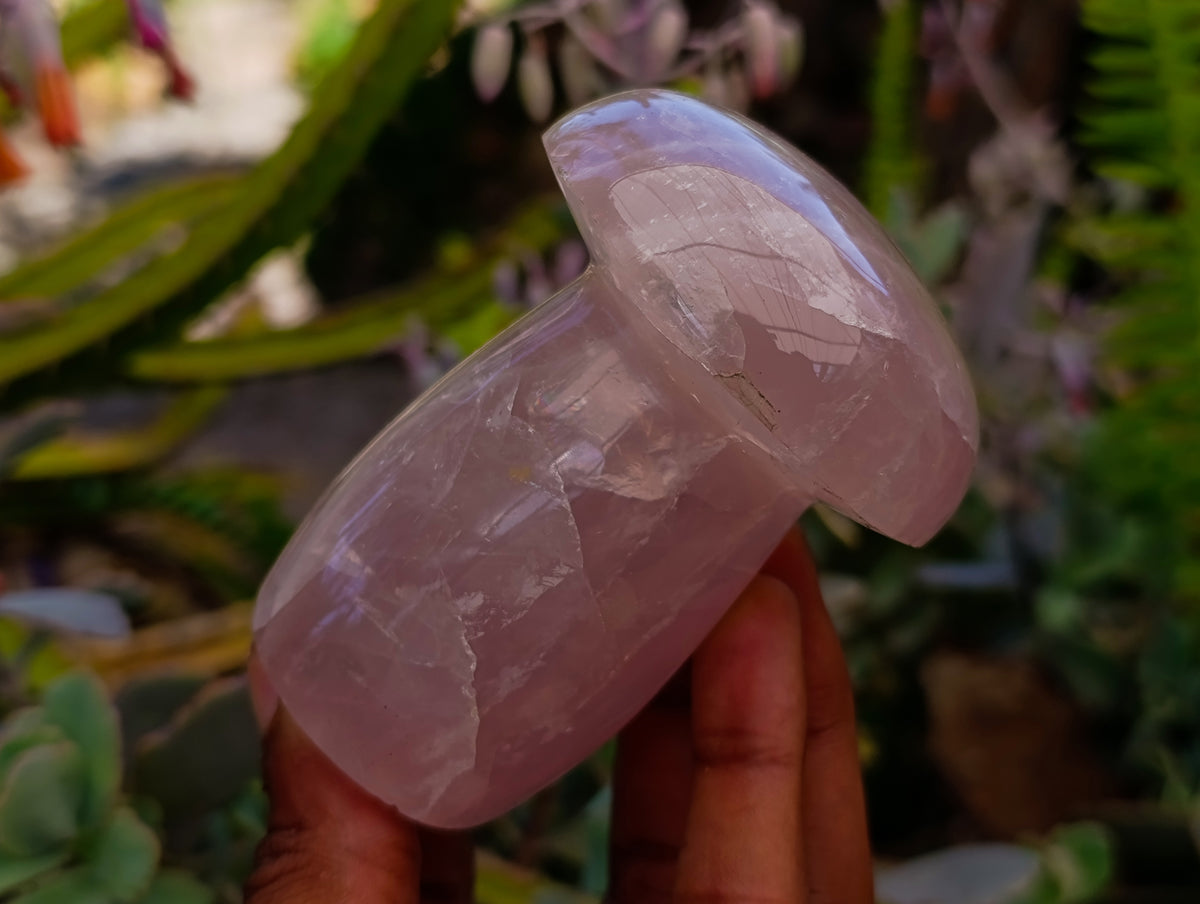 Polished Rose Quartz Mushrooms x 6 From Madagascar - Toprock Gemstones and Minerals 