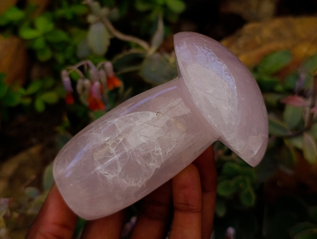 Polished Rose Quartz Mushrooms x 6 From Madagascar - Toprock Gemstones and Minerals 