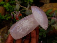 Polished Rose Quartz Mushrooms x 6 From Madagascar