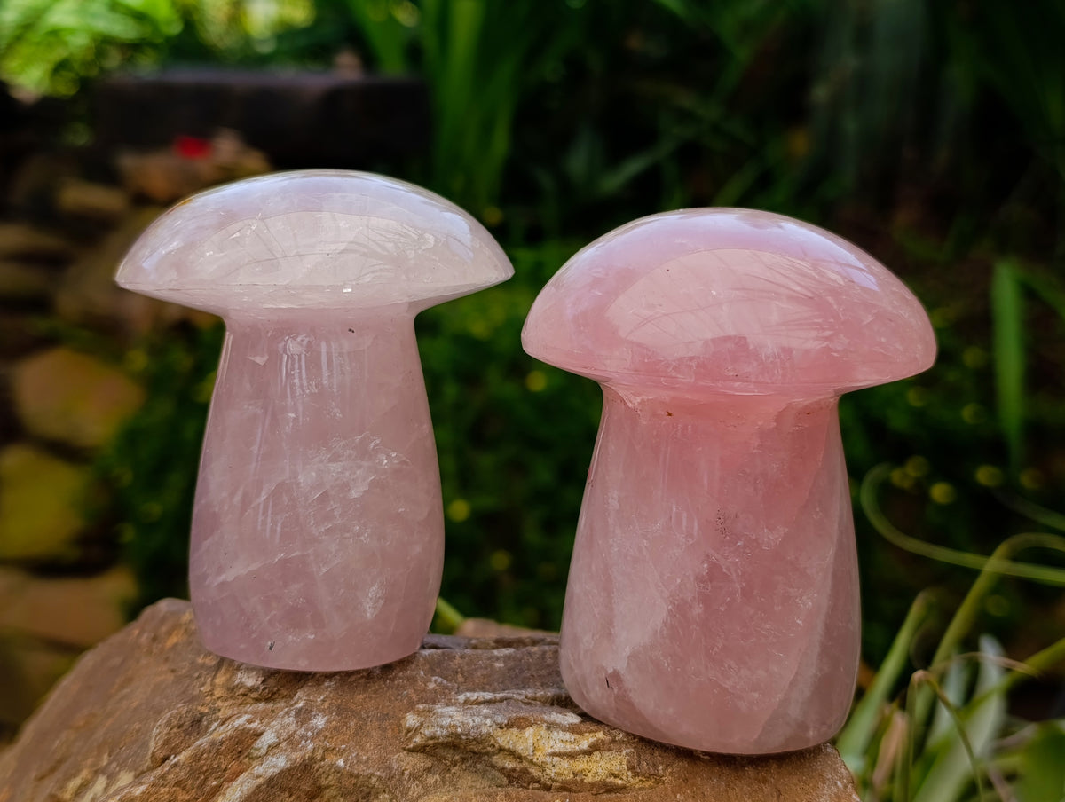 Polished Rose Quartz Mushrooms x 6 From Madagascar - Toprock Gemstones and Minerals 