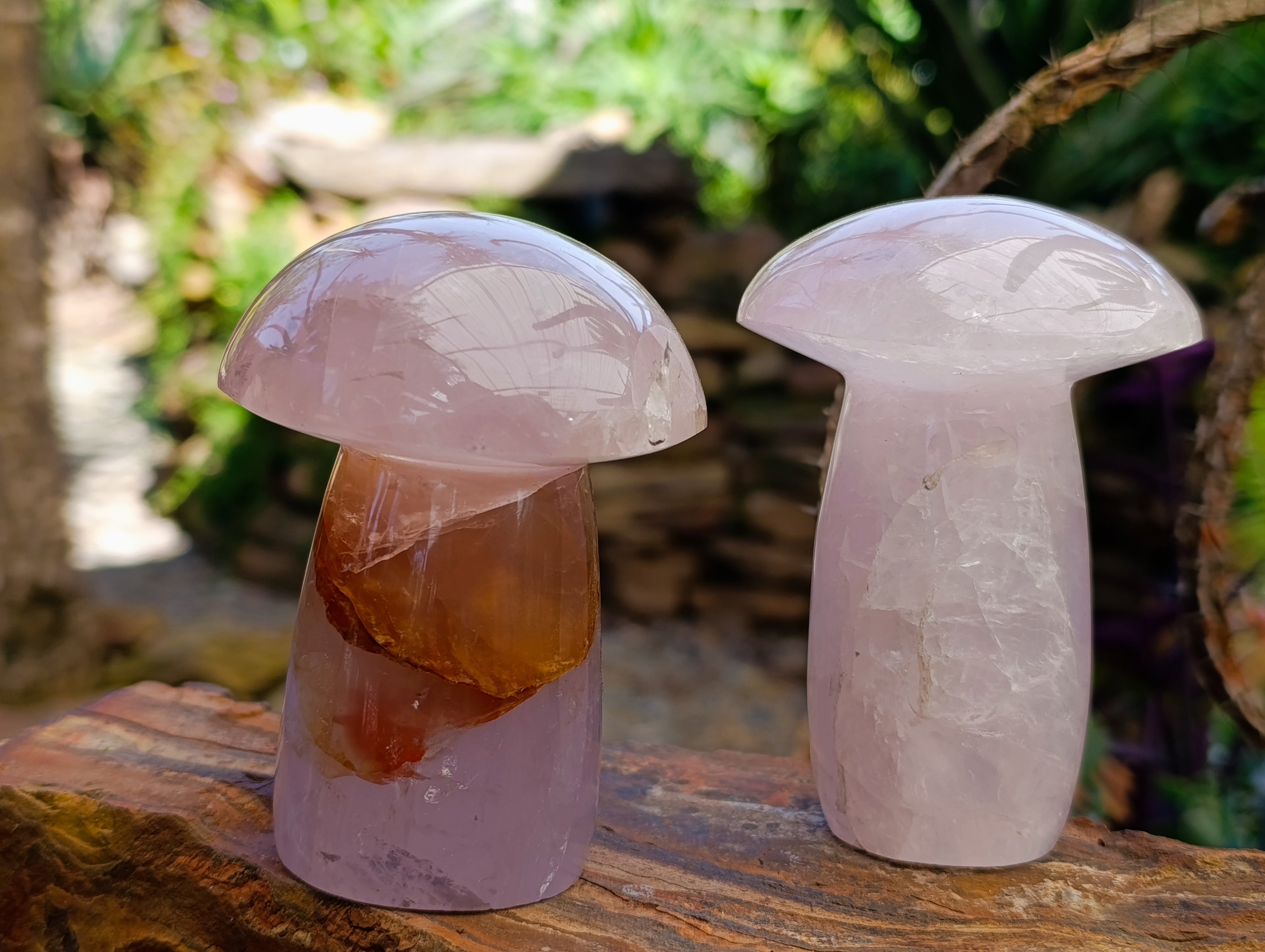 Polished Rose Quartz Mushrooms x 6 From Madagascar - Toprock Gemstones and Minerals 