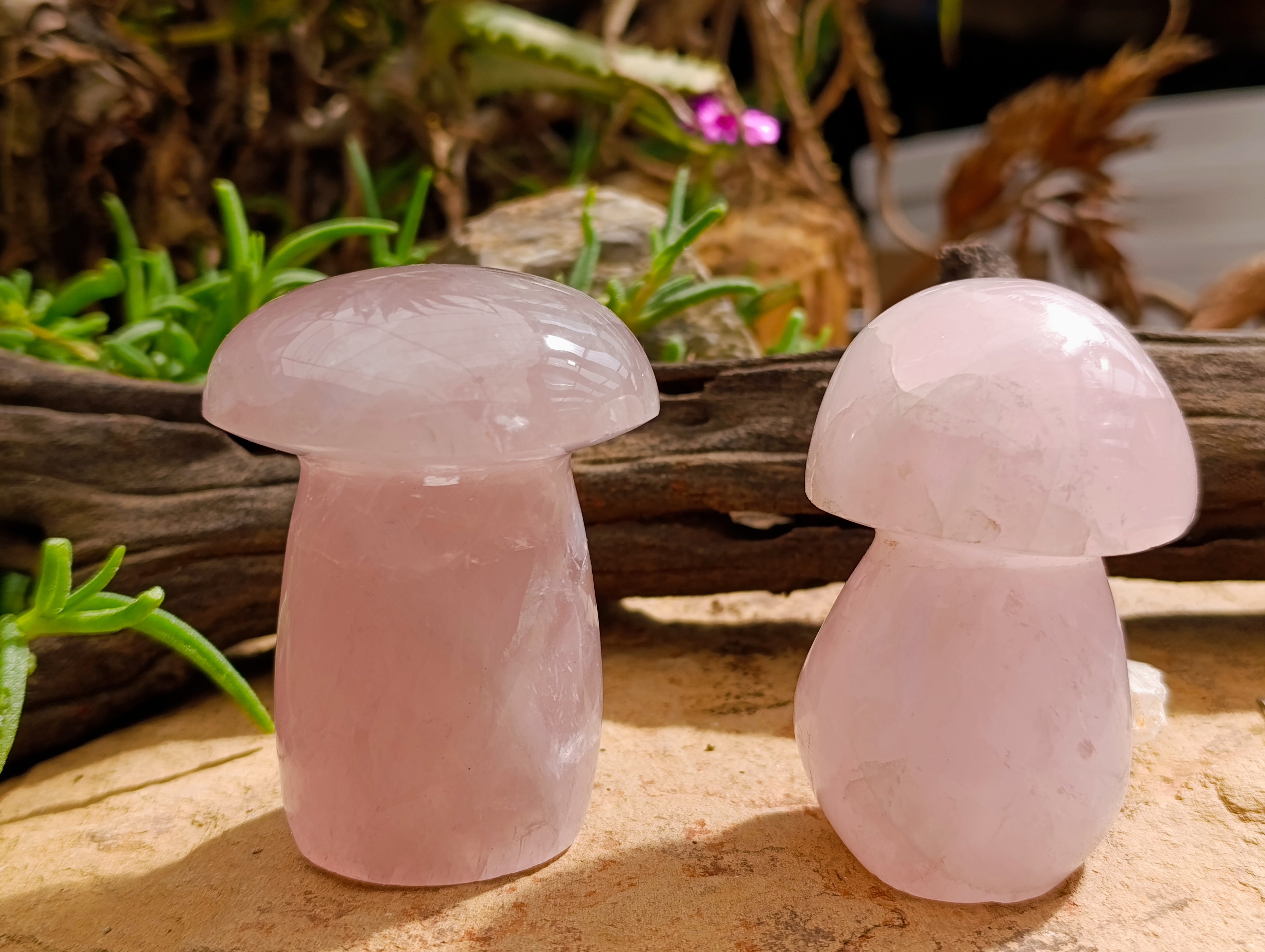 Polished Rose Quartz Mushrooms x 6 From Madagascar - Toprock Gemstones and Minerals 