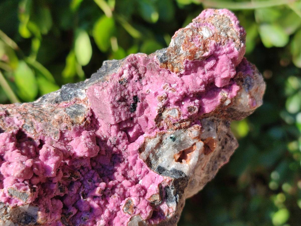 Natural Salrose Cobaltion Dolomite Specimens x 3 From Kakanda, Congo - Toprock Gemstones and Minerals 