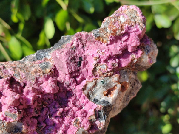 Natural Salrose Cobaltion Dolomite Specimens x 3 From Kakanda, Congo