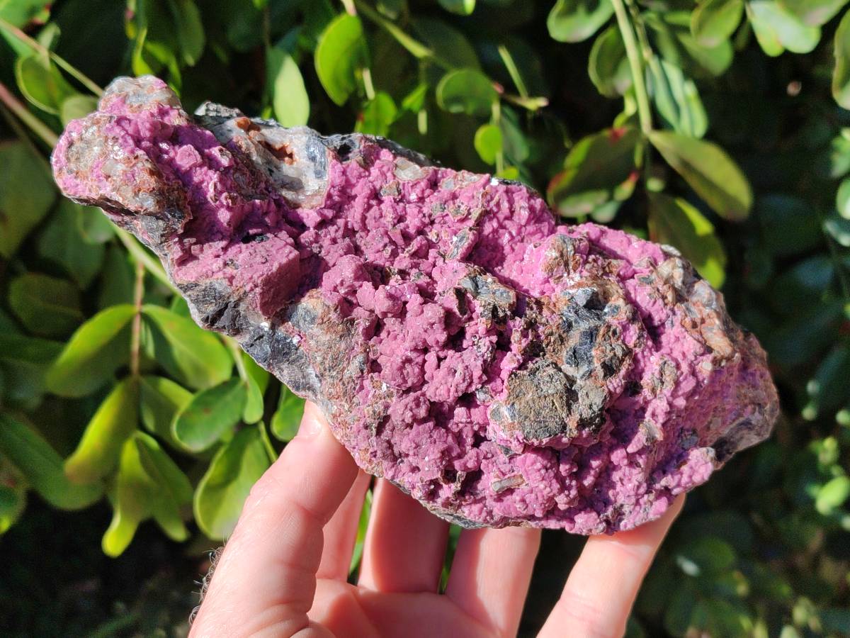 Natural Salrose Cobaltion Dolomite Specimens x 3 From Kakanda, Congo - Toprock Gemstones and Minerals 