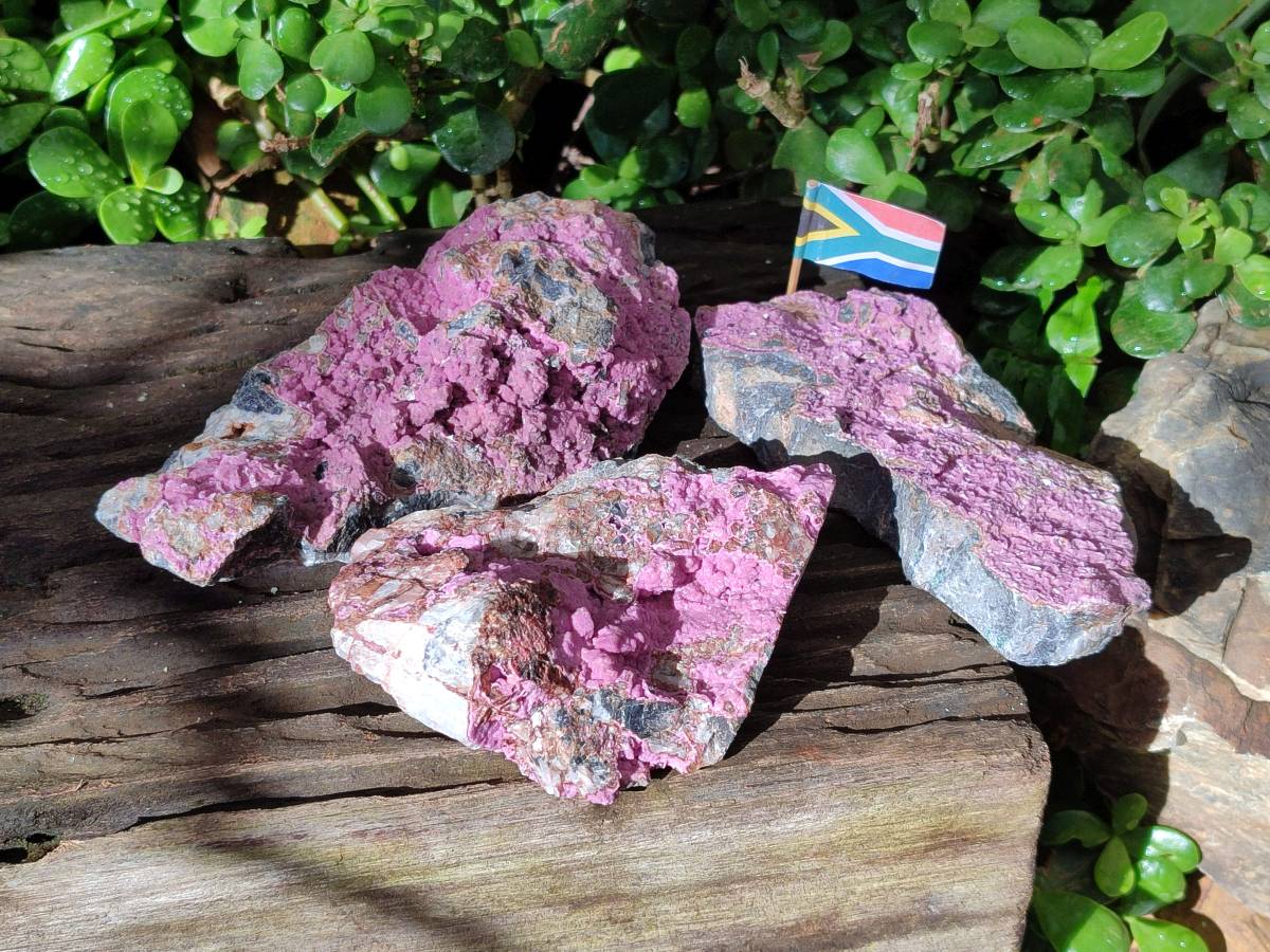 Natural Salrose Cobaltion Dolomite Specimens x 3 From Kakanda, Congo - Toprock Gemstones and Minerals 