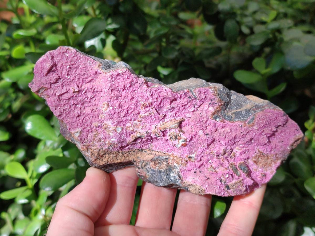 Natural Salrose Cobaltion Dolomite Specimens x 3 From Kakanda, Congo - Toprock Gemstones and Minerals 