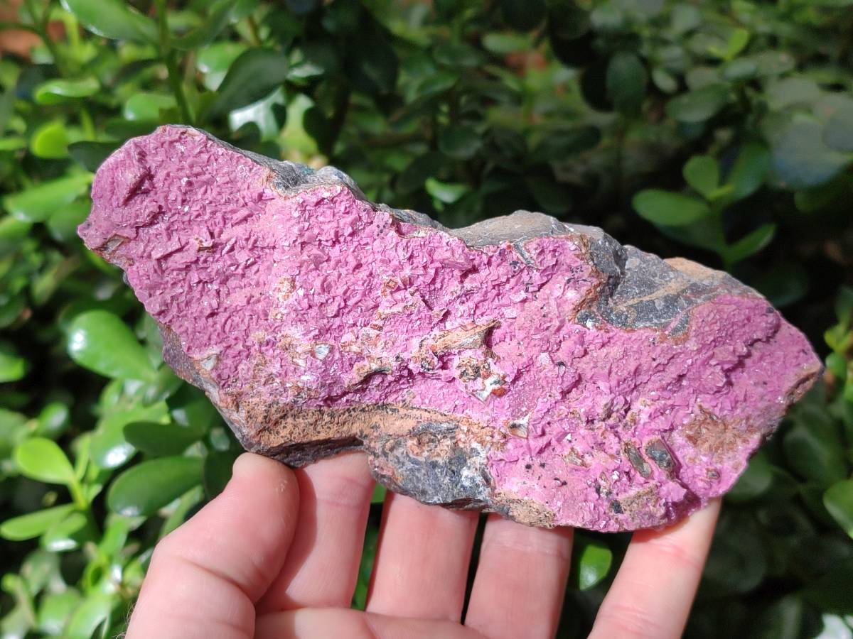 Natural Salrose Cobaltion Dolomite Specimens x 3 From Kakanda, Congo - Toprock Gemstones and Minerals 