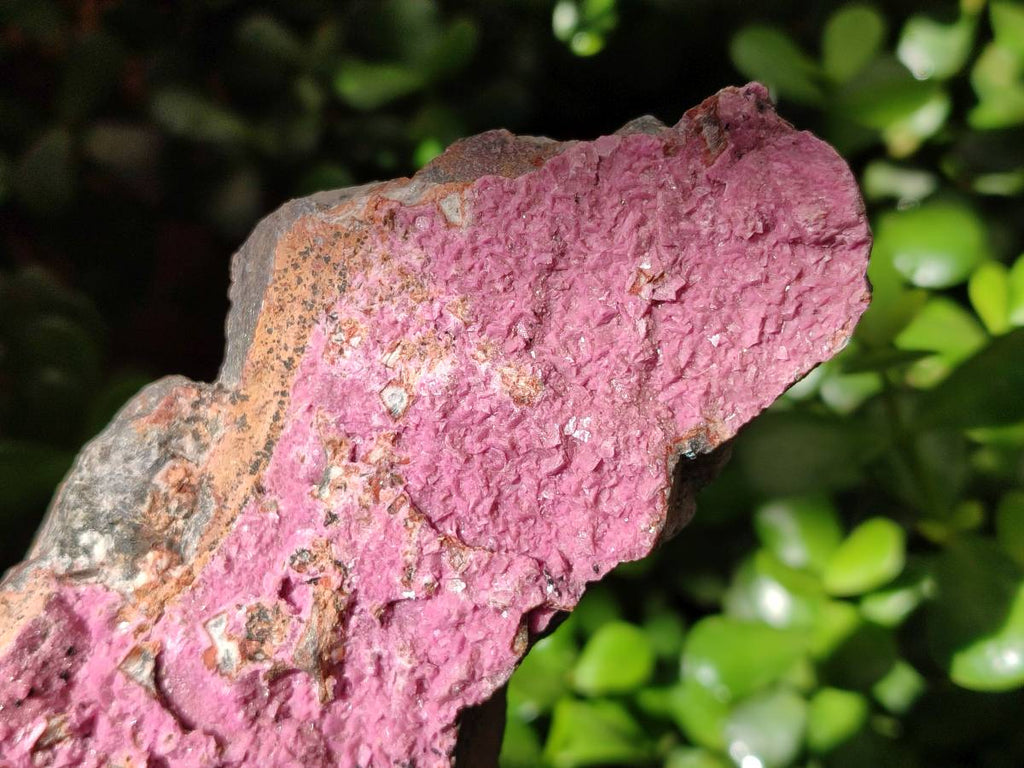Natural Salrose Cobaltion Dolomite Specimens x 3 From Kakanda, Congo - Toprock Gemstones and Minerals 