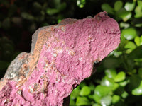 Natural Salrose Cobaltion Dolomite Specimens x 3 From Kakanda, Congo