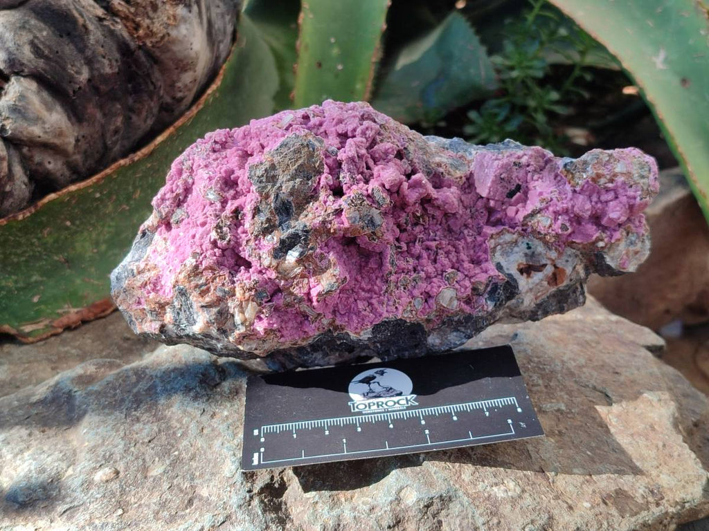 Natural Salrose Cobaltion Dolomite Specimens x 3 From Kakanda, Congo - Toprock Gemstones and Minerals 
