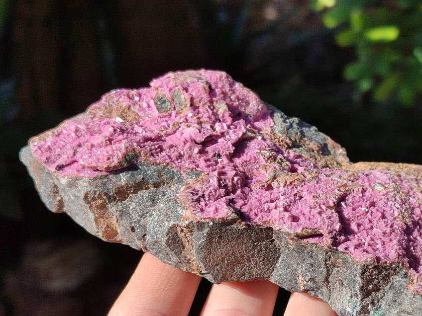 Natural Salrose Cobaltion Dolomite Specimens x 3 From Kakanda, Congo - Toprock Gemstones and Minerals 