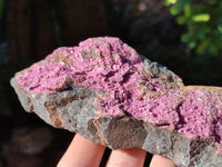 Natural Salrose Cobaltion Dolomite Specimens x 3 From Kakanda, Congo
