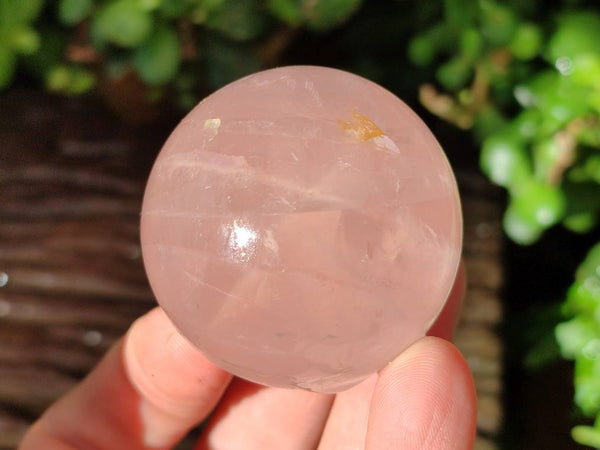 Polished Rose Quartz Spheres x 12 From Madagascar