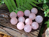 Polished Rose Quartz Spheres x 12 From Madagascar