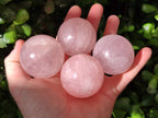 Polished Rose Quartz Spheres x 12 From Madagascar - Toprock Gemstones and Minerals 