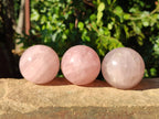 Polished Rose Quartz Spheres x 12 From Madagascar - Toprock Gemstones and Minerals 