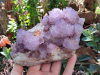 Natural Sunburst Amethyst Spirit Quartz Clusters x 2 From Boekenhouthoek, South Africa