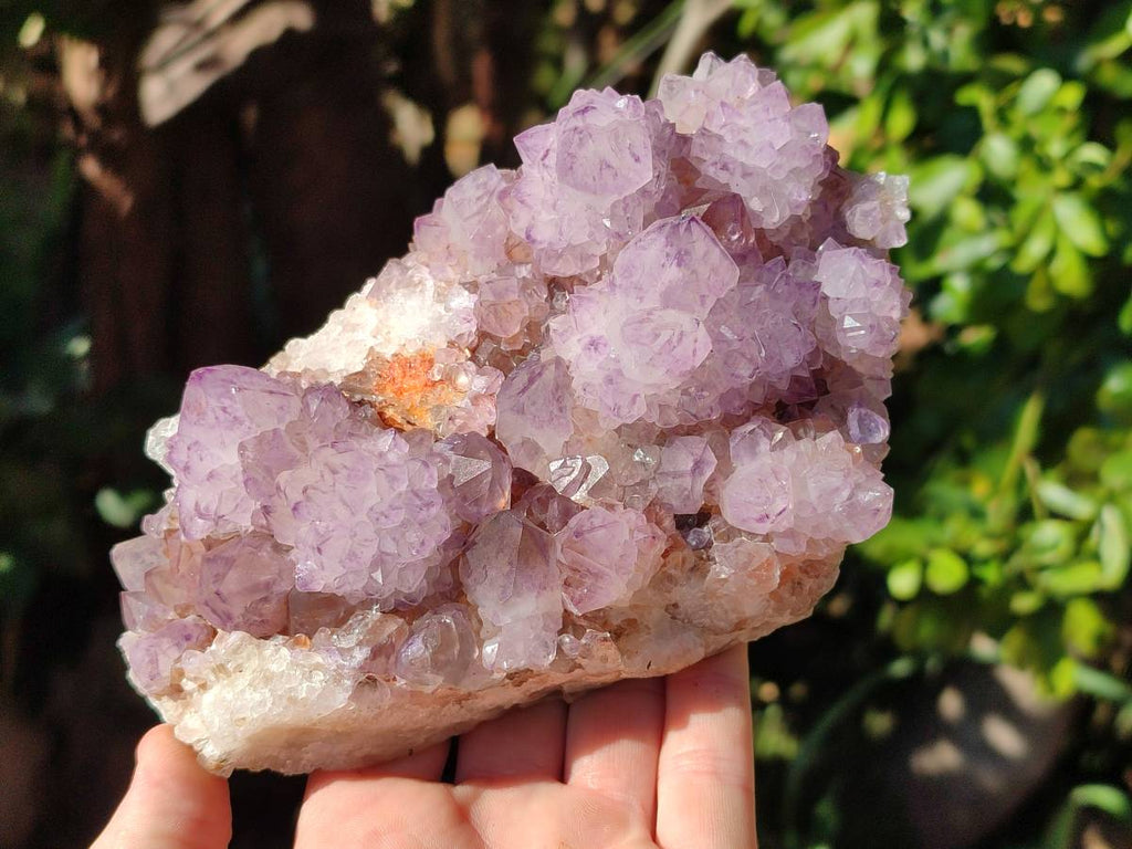 Natural Sunburst Amethyst Spirit Quartz Clusters x 2 From Boekenhouthoek, South Africa - Toprock Gemstones and Minerals 