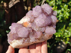 Natural Sunburst Amethyst Spirit Quartz Clusters x 2 From Boekenhouthoek, South Africa - Toprock Gemstones and Minerals 