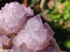 Natural Sunburst Amethyst Spirit Quartz Clusters x 2 From Boekenhouthoek, South Africa - Toprock Gemstones and Minerals 