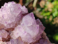 Natural Sunburst Amethyst Spirit Quartz Clusters x 2 From Boekenhouthoek, South Africa