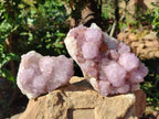 Natural Sunburst Amethyst Spirit Quartz Clusters x 2 From Boekenhouthoek, South Africa - Toprock Gemstones and Minerals 