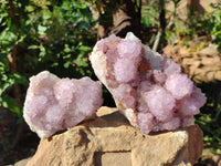 Natural Sunburst Amethyst Spirit Quartz Clusters x 2 From Boekenhouthoek, South Africa