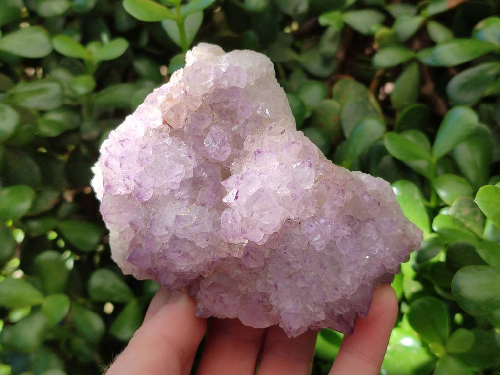 Natural Sunburst Amethyst Spirit Quartz Clusters x 2 From Boekenhouthoek, South Africa - Toprock Gemstones and Minerals 