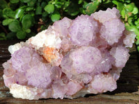 Natural Sunburst Amethyst Spirit Quartz Clusters x 2 From Boekenhouthoek, South Africa