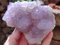 Natural Sunburst Amethyst Spirit Quartz Clusters x 2 From Boekenhouthoek, South Africa