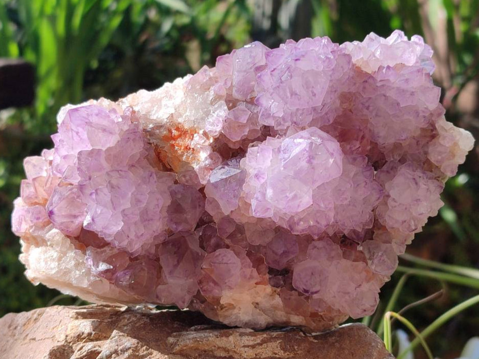 Natural Sunburst Amethyst Spirit Quartz Clusters x 2 From Boekenhouthoek, South Africa - Toprock Gemstones and Minerals 