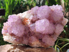 Natural Sunburst Amethyst Spirit Quartz Clusters x 2 From Boekenhouthoek, South Africa - Toprock Gemstones and Minerals 