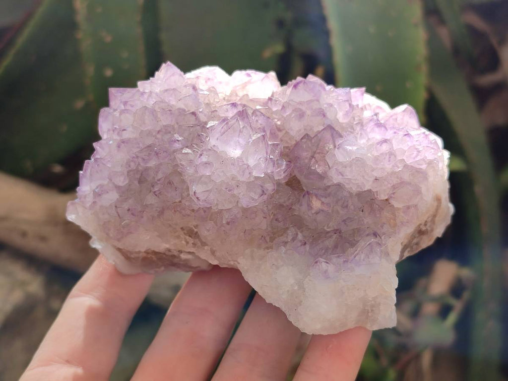 Natural Sunburst Amethyst Spirit Quartz Clusters x 2 From Boekenhouthoek, South Africa - Toprock Gemstones and Minerals 