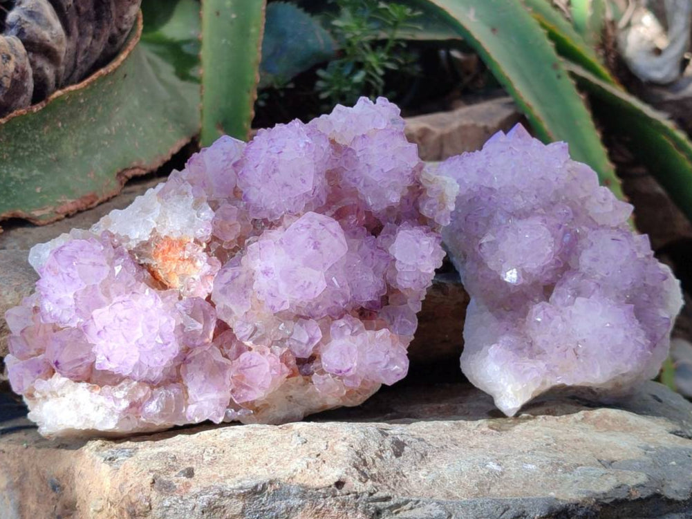 Natural Sunburst Amethyst Spirit Quartz Clusters x 2 From Boekenhouthoek, South Africa - Toprock Gemstones and Minerals 