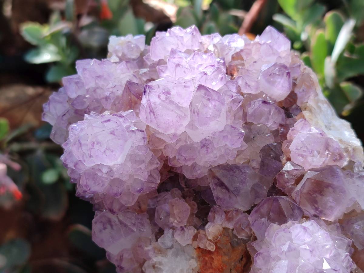 Natural Sunburst Amethyst Spirit Quartz Clusters x 2 From Boekenhouthoek, South Africa - Toprock Gemstones and Minerals 