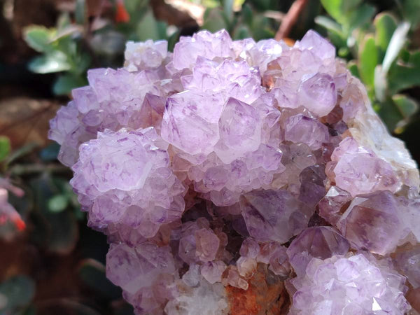 Natural Sunburst Amethyst Spirit Quartz Clusters x 2 From Boekenhouthoek, South Africa