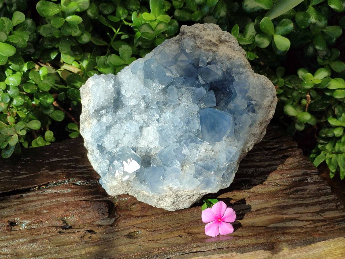 Natural Blue Celestite Geode Specimen x 1 From Sakoany, Madagascar - Toprock Gemstones and Minerals 