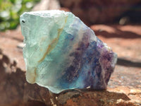 Natural Watermelon Fluorite Cobbed Specimens x 28 From Uis, Namibia