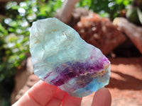 Natural Watermelon Fluorite Cobbed Specimens x 28 From Uis, Namibia