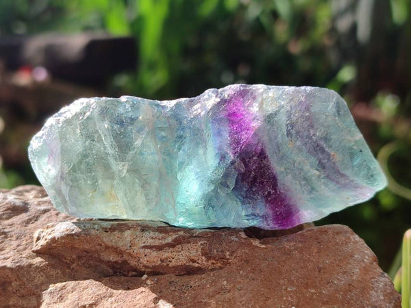 Natural Watermelon Fluorite Cobbed Specimens x 28 From Uis, Namibia
