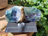 Natural Watermelon Fluorite Cobbed Specimens x 28 From Uis, Namibia