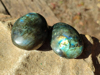 Polished Labradorite Galets x 12 From Tulear, Madagascar